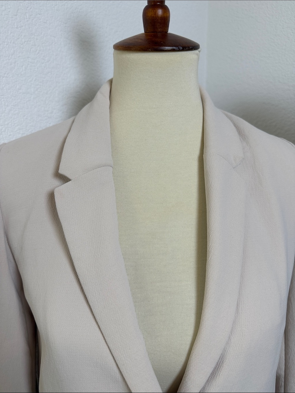 Aritzia Button Blazer - Picture 7 of 16